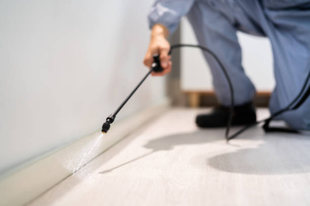 Licensed Cockroach Control service in Sturgeon, PA - Nex Pest Control